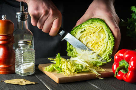 Professional chef hands slicing cabbage with a knife close-up. Cooking vegetable salad in the restaurant kitchenの写真素材