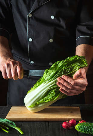 Chef or cook cuts fresh napa cabbage with a knife for salad on a vintage kitchen table with fresh vegetables. Cooking and restaurant or cafe conceptの写真素材