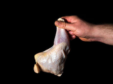 Chicken leg in chef hand on a black background. The chef prepares to cook raw chicken meat.の写真素材