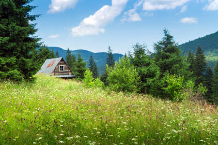 Summer mountainous rural landscape view with a old house and spruce Carpathian Ukraineの写真素材