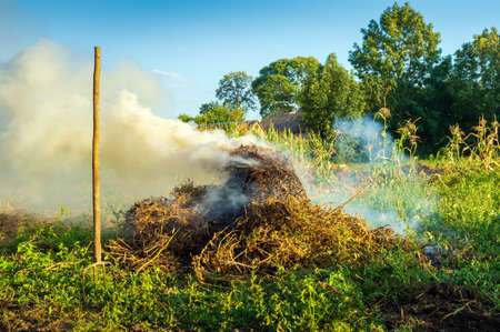 Fire in the garden, weeds are burning after harvest. Garden maintenance in late summer or autumnの写真素材