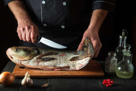 Professional chef prepares silver carp in the restaurant kitchen. Preparation for cutting fish with...
