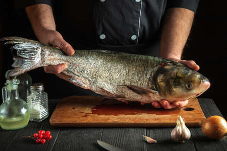 Chef prepares silver carp fish. Preparing for the preparation of fish food for the holidays. Working...