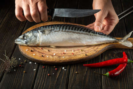 The chef cuts a Scomber fish with a knife on a kitchen cutting board. Menu or recipe for restaurant...