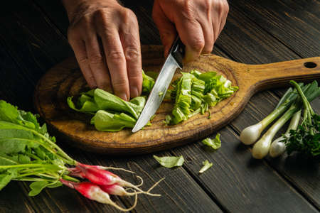 The cook cuts green leaves lettuce on a cutting board with a knife for preparing vegetarian food.の写真素材