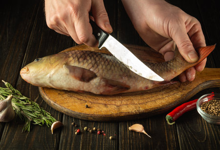 Hands of the chef with a knife cut fresh Cyprinus fish on a wooden cutting board. Home cooking of a national fish dish according to unique recipeの写真素材