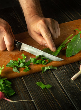 Cutting sorrel leaves for a diet salad for lunch. The hands of the cook with a knife cut sorrels on the kitchen board. fresh vegetable diet.の写真素材