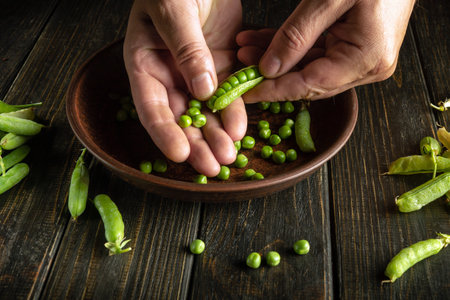 The cook hands separate peas from green pods after harvest. Preparation for cooking vegetarian food on the kitchen table in restaurant.の写真素材