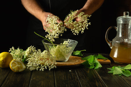 A herbalist makes kvass on the kitchen table using elder flowers and mint leaves. Making a cool and...
