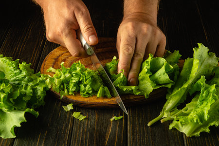 Chef cutting green lettuce with knife. Preparing vegetable salad in restaurant kitchen. Vegetable diet idea.の写真素材