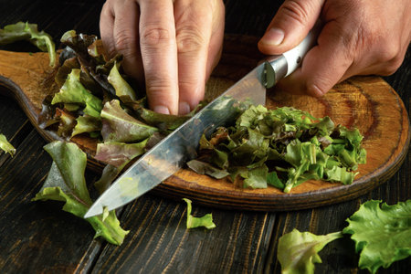 A cook cuts cos lettuce leaves with a knife. Preparing a vegetarian dish on the kitchen counter before dinner.の写真素材