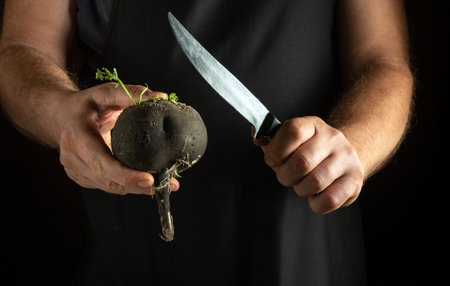 A person holds a freshly harvested black radish in one hand, while gripping a sharp knife in the other. The ambiance is dark, enhancing the focus on the preparation process.の写真素材