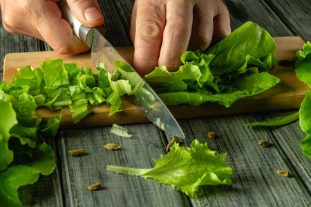 Hands skillfully chop crisp green lettuce on a wooden cutting board, with fresh leaves scattered around. Sunlight streams in, illuminating the kitchen workspace.の写真素材
