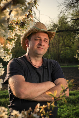 A confident man stands with crossed arms in a flowering orchard. The golden hour light highlights the blossoms and creates a warm atmosphere in the serene landscape.の写真素材