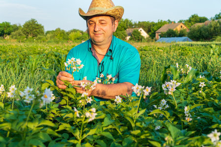 A farmer in a straw hat carefully picks flowers in a vibrant green field during the golden hour. Houses and trees create a serene countryside backdrop.の写真素材