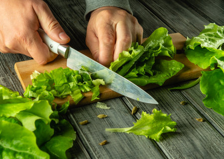 A person is skillfully cutting fresh green lettuce on a chopping board. Bright, crisp leaves are scattered around, showcasing a clean and inviting kitchen atmosphere.の写真素材