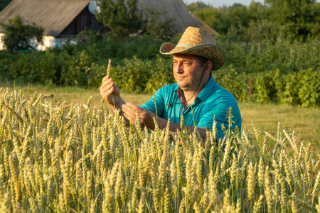 A farmer in a straw hat inspects wheat stalks in a vast field at sunset. The warm light reflects off...