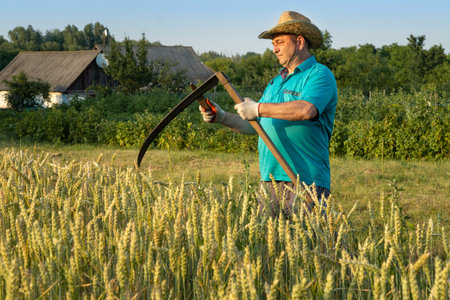 A farmer is carefully cutting wheat with a scythe in a lush field. Surrounding greenery and a rustic building are visible, capturing the essence of traditional agriculture at sunset.の写真素材