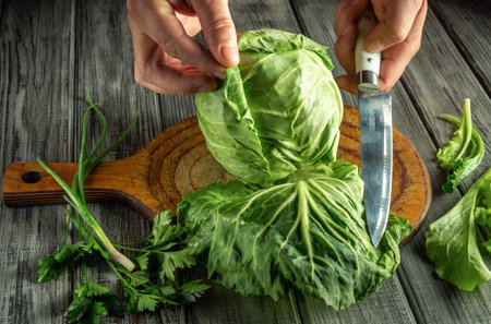 Hands cut a fresh cabbage on a wooden board, surrounded by green herbs. The kitchen has a warm, rustic feel, perfect for preparing healthy dishes.の写真素材