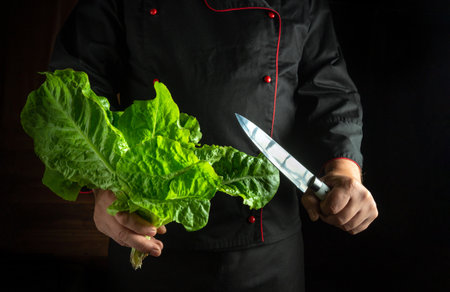 A chef holds a large, vibrant lettuce leaf in one hand and a sharp knife in the other. The scene is set in a dimly lit kitchen, emphasizing the freshness of the ingredients and skillful preparation.の写真素材