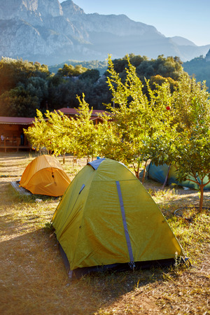 tent in the pomegranate orchard with riped pomegranatesの写真素材