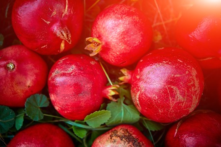 ripe cracked raw pomegranates on a green grass backgroundの写真素材