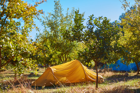 tents in the pomegranate orchard. Climbing camping area.の写真素材