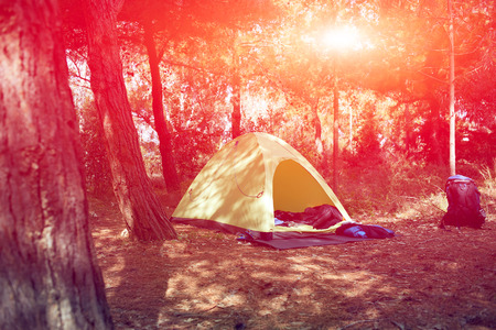 tent in the forest at the sunriceの写真素材