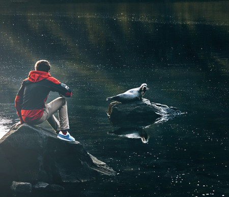 tourists looks on seal on the stone in the lake or bay. Travel to Icelandの写真素材