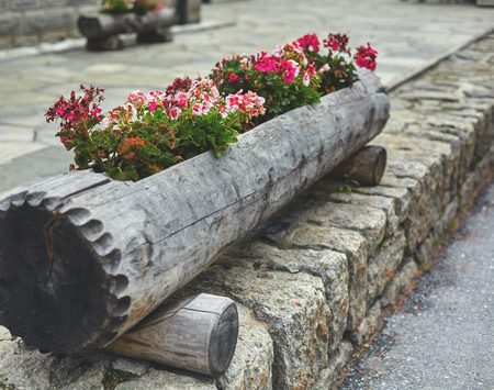 floral flowerbed in a big log in Zermatt town, Switzerlandの写真素材