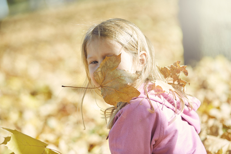 happy little girl laughing and playing with leaves in the autumn on the nature walk outdoorsの写真素材