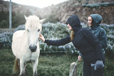 Travel to Iceland. a woman stroking a horse in the fieldの写真素材
