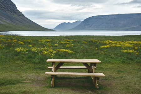 old homemade wooden bench and table on the green lawn on the ocean background in Iceland