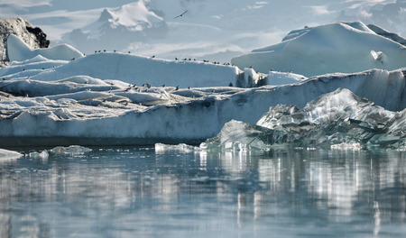 Beautiful vibrant picture of icelandic glacier and glacier lagoon with water and ice in cold blue tones, Iceland, Glacier Bay, icebergs in the water. focus on the icebergの写真素材
