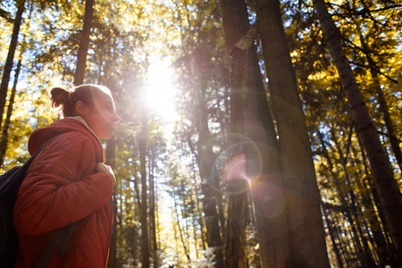 happy smiling woman in a red jacket walks in the autumn forest on a bright sunny dayの写真素材