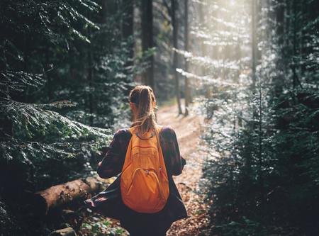 woman hiker walking on the trail in pine woods with wonderful backlight from sun on backgroundの写真素材