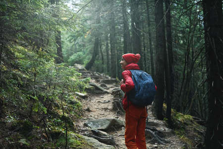 woman hiker with backpack, wearing in red jacket and orange pants, walking in the forest in mountains, Western Ukraine.の写真素材