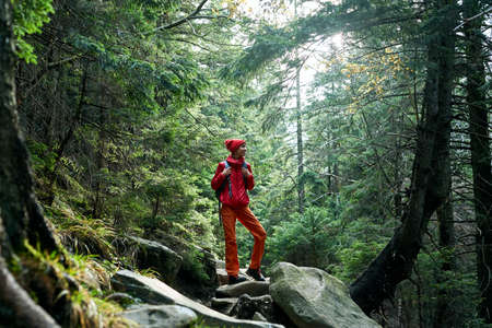 woman hiker with backpack, wearing in red jacket and orange pants, walking in the forest in mountains, Western Ukraine.の写真素材