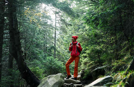 woman hiker with backpack, wearing in red jacket and orange pants, walking in the forest in mountains, Western Ukraine.の写真素材