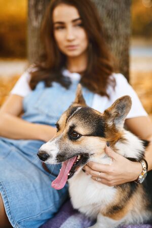 young brunette woman sitting with cute Welsh Corgi Pembroke dog in a autumn park outdoors. Young female owner huging pet in park at fall on the orange foliage background. dog yawns, focus on dogの写真素材