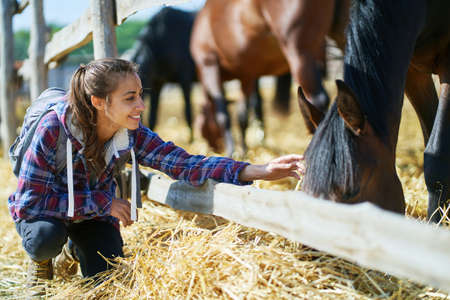 woman on countryside farm or ranch petting horse. Animals, friendship and hobby concept.の写真素材