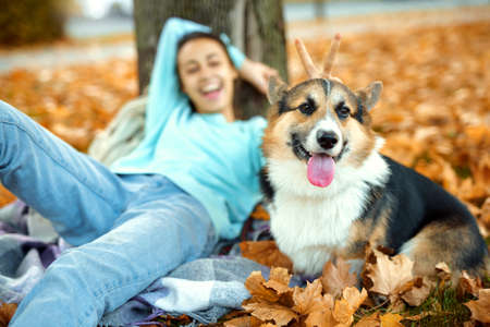 Funny Welsh Corgi dog with woman owner at autumn park having fun, spending time together, colorful fallen leaves on backgroundの写真素材