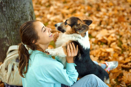 Woman holding her cute pupy Welsh Corgi dog, spending time together at autumn park with fallen leaves on background. Cute moments pets and human.の写真素材