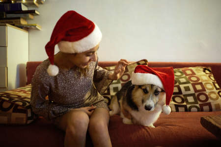 Female owner and pet welsh corgi dog in Christmas Santa hats sitting on couch at home. Winter holidays, Xmas and New Year conceptの写真素材
