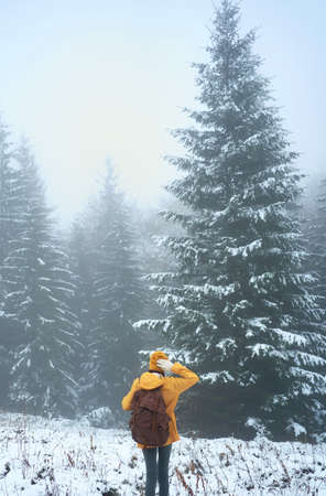 Woman backpacker in yellow wear walking in winter fir forest. Spruce trees in mysterious haze, snowy frosty and misty landscape sceneの写真素材