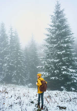 Misty forest with coniferous trees covered snow, traveler girl hiking alone at winter mysterious landscapeの写真素材