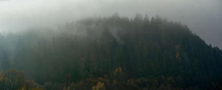 Misty foggy landscape with dark forest on mountain among low clouds. Gloomy atmospheric scenery with coniferous trees in mysterious dense fogの写真素材