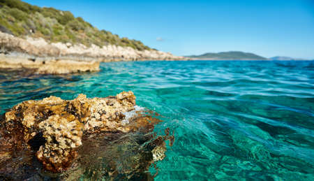 Close up clear blue sea or ocean water surface and coastal sea rocks beachの写真素材