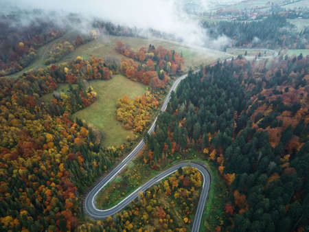 Aerial top view of colorful trees of autumn forest with winding country road. Low clouds aroundの写真素材