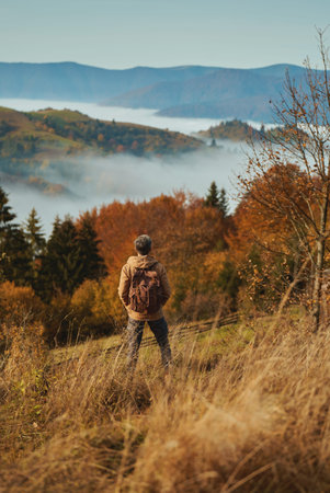 Rear view male hiker with backpack stands on mountain meadow at early morning, looking around, enjoys beautiful view Man hiker in Carpathian mountains, Ukraineの写真素材